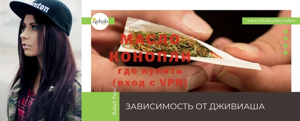 индика Алексеевка