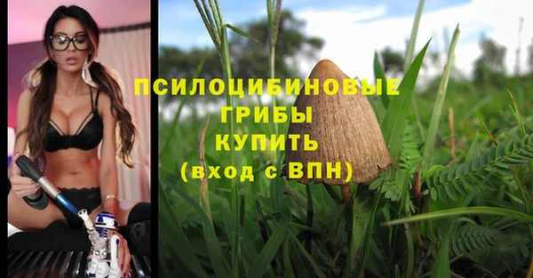 индика Алексеевка