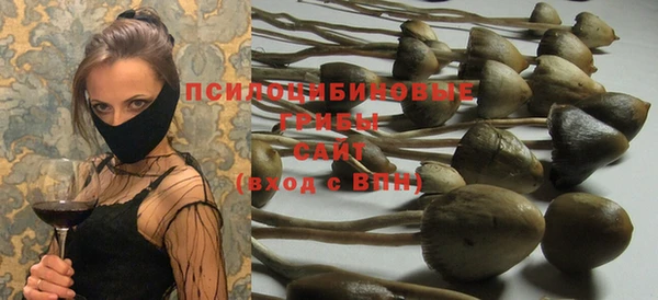 индика Алексеевка