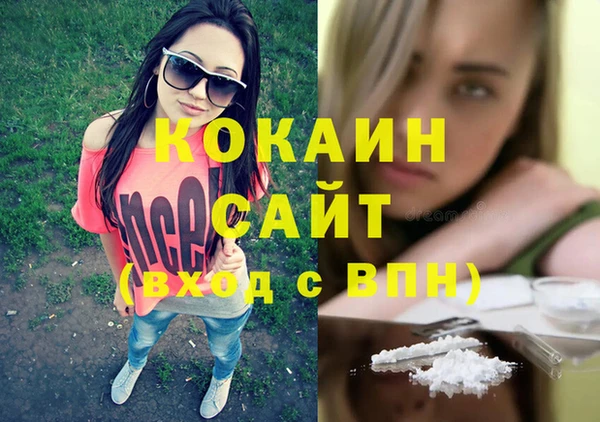 индика Алексеевка