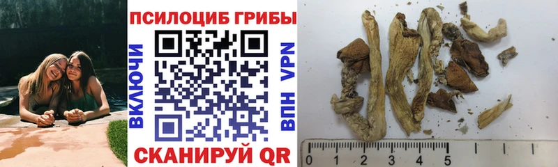 Галлюциногенные грибы GOLDEN TEACHER  где купить наркоту  Боготол 