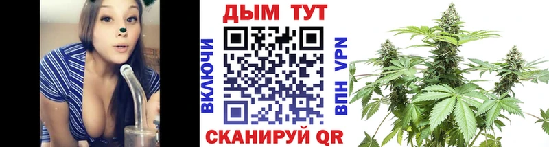 Канабис семена  Боготол 