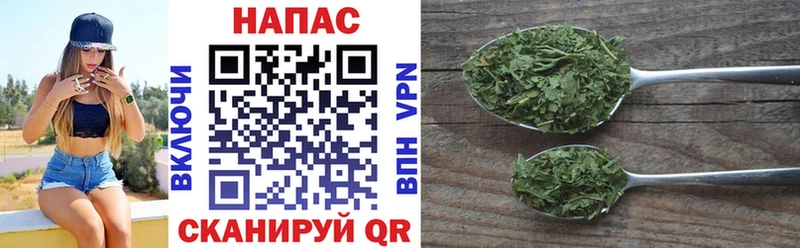 Канабис MAZAR Боготол